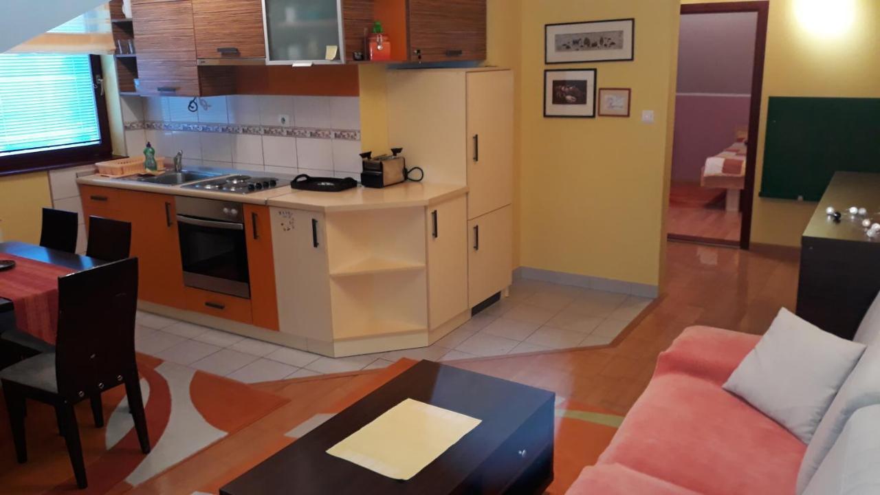 Apartmani Exit 帕莱 外观 照片